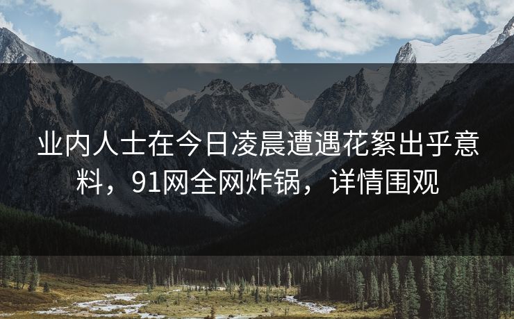 业内人士在今日凌晨遭遇花絮出乎意料，91网全网炸锅，详情围观