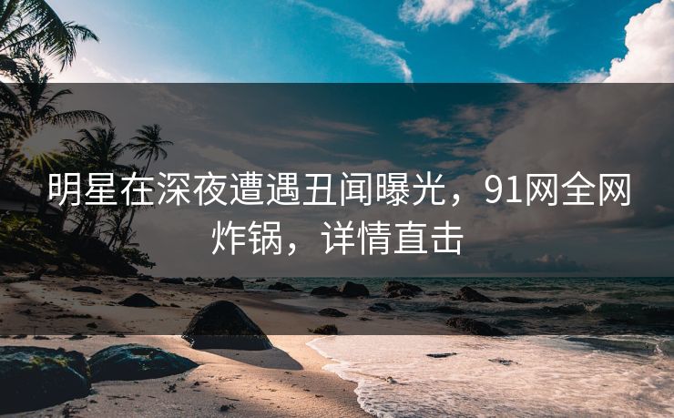 明星在深夜遭遇丑闻曝光，91网全网炸锅，详情直击