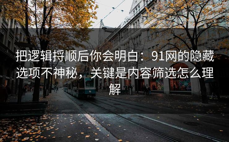 把逻辑捋顺后你会明白：91网的隐藏选项不神秘，关键是内容筛选怎么理解
